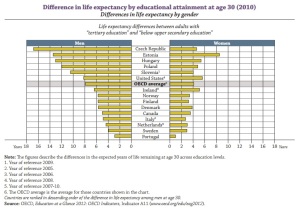 grafico esperanza vida educacion